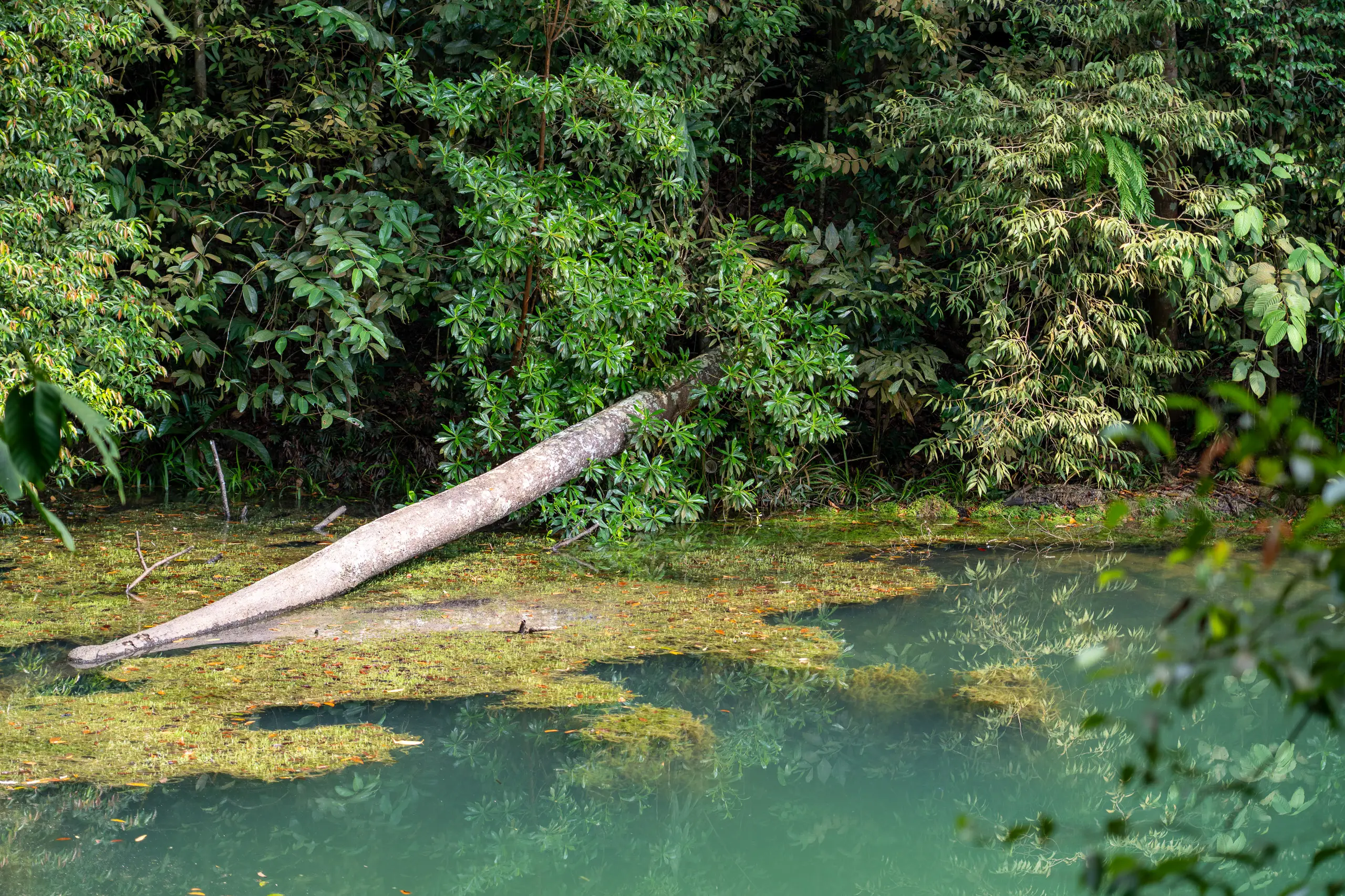 Exteriors & Landscapes — 1